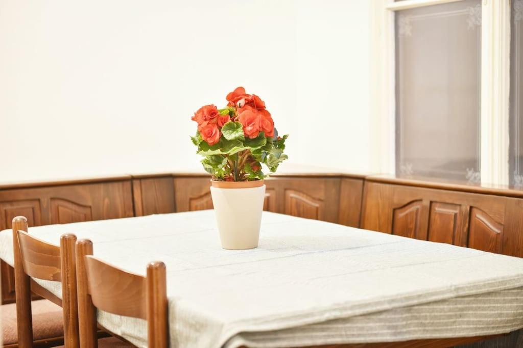 Charming Spacious Apartment Viyana Dış mekan fotoğraf